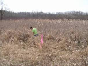 Soil Evaluations - Morris Knowles & Associates - wetland_delineation-1